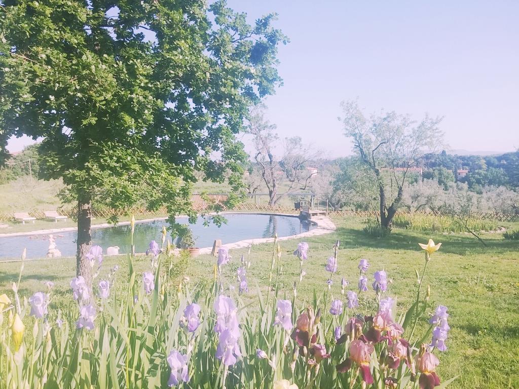 Agriturismo Il Poderino Біббона Екстер'єр фото