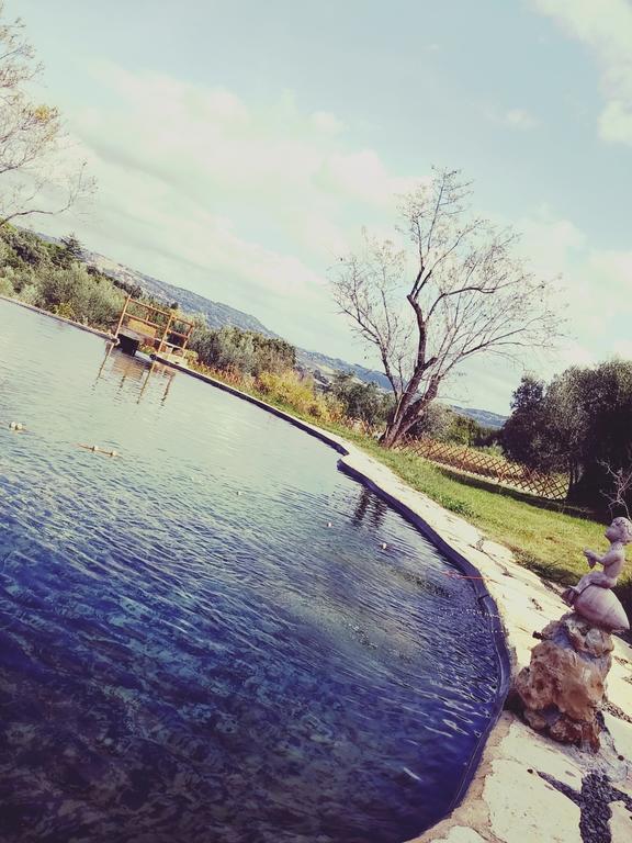 Agriturismo Il Poderino Біббона Екстер'єр фото
