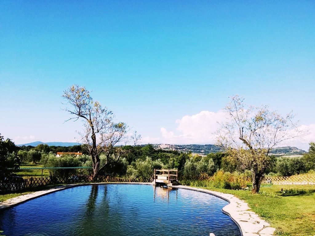 Agriturismo Il Poderino Біббона Екстер'єр фото