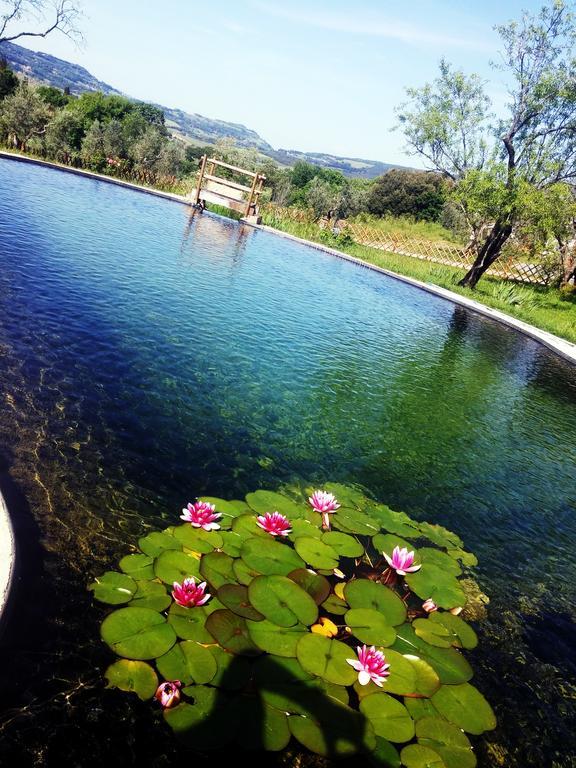 Agriturismo Il Poderino Біббона Екстер'єр фото