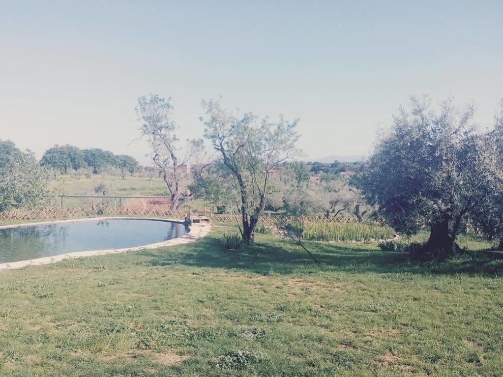 Agriturismo Il Poderino Біббона Екстер'єр фото
