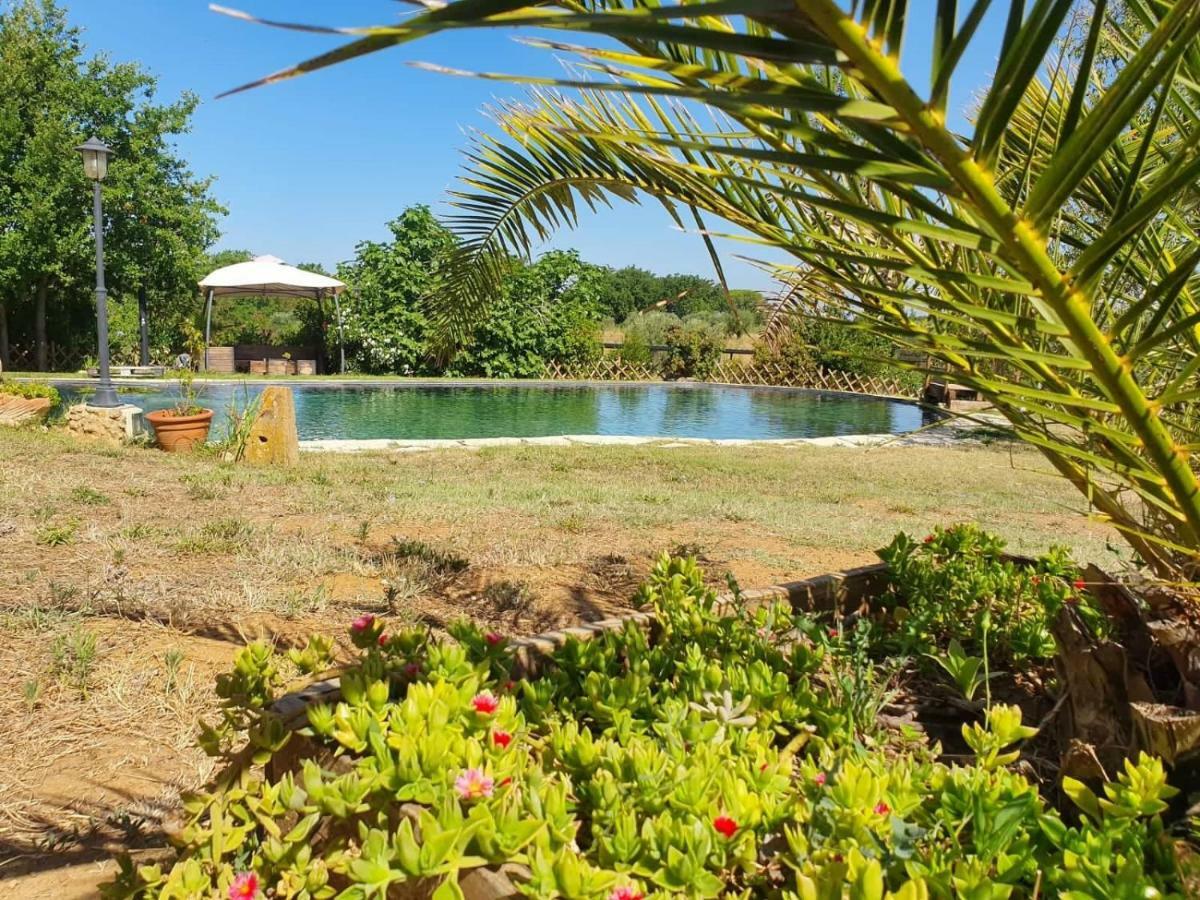 Agriturismo Il Poderino Біббона Екстер'єр фото